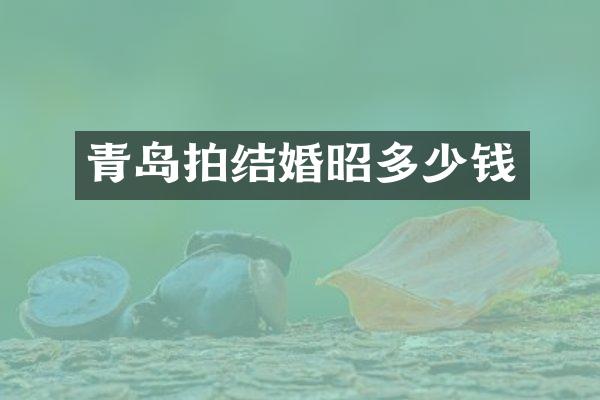 青岛拍结婚昭多少钱