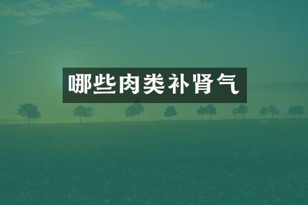 哪些肉类补肾气