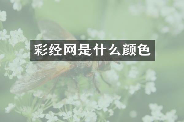 彩经网是什么颜色