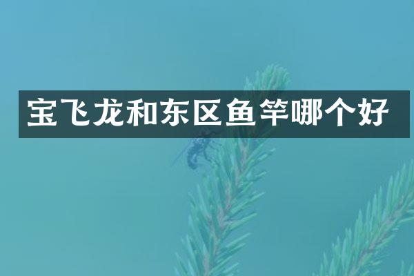 宝飞龙和东区鱼竿哪个好