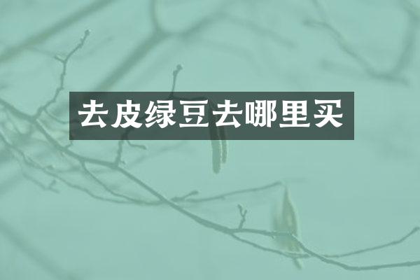 去皮绿豆去哪里买