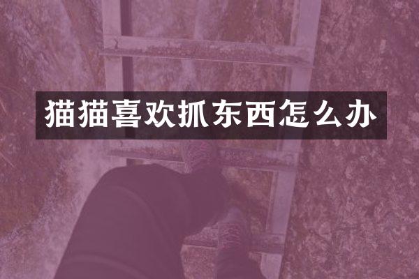 猫猫喜欢抓东西怎么办