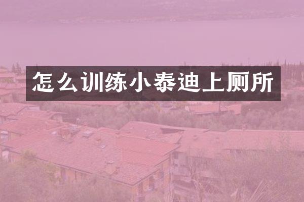 怎么训练小泰迪上厕所