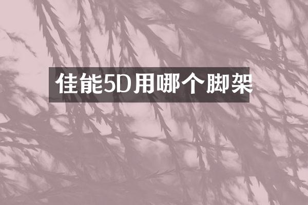 佳能5D用哪个脚架