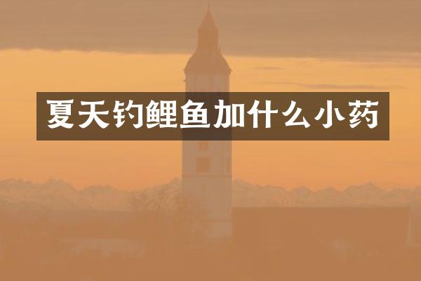 夏天钓鲤鱼加什么小药