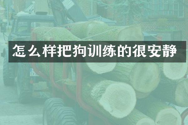 怎么样把狗训练的很安静