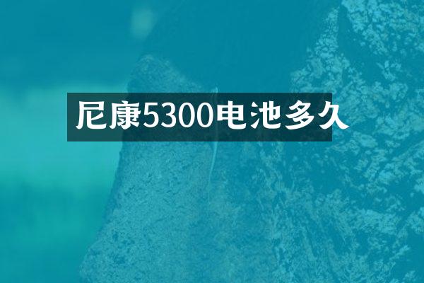 尼康5300电池多久