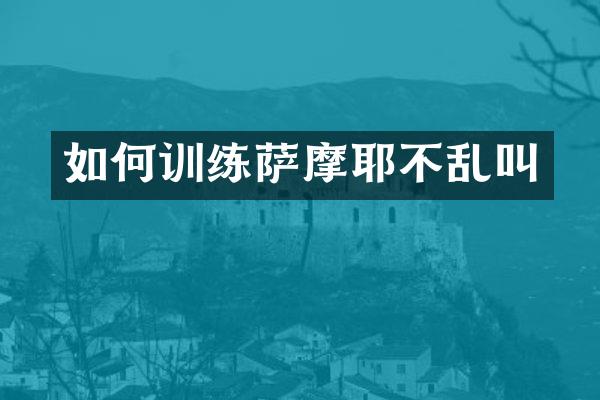如何训练萨摩耶不乱叫