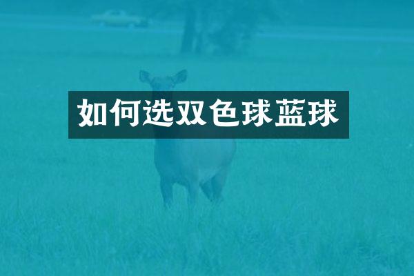 如何选双色球蓝球