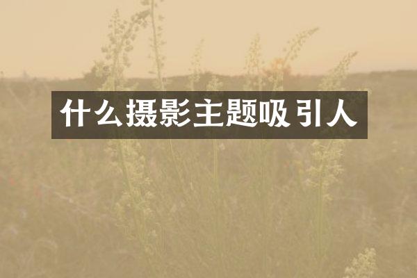 什么摄影主题吸引人