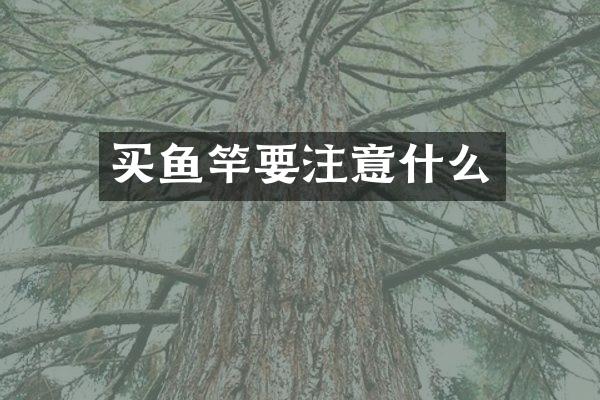 买鱼竿要注意什么