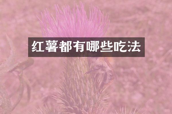 红薯都有哪些吃法