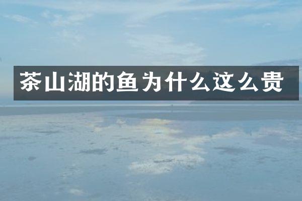 茶山湖的鱼为什么这么贵