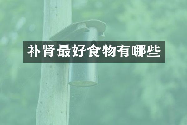 补肾最好食物有哪些