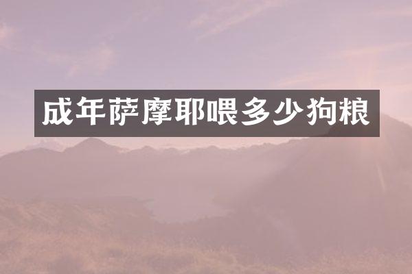 成年萨摩耶喂多少狗粮