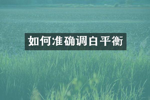 如何准确调白平衡