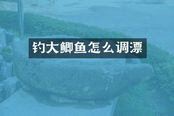 钓大鲫鱼怎么调漂