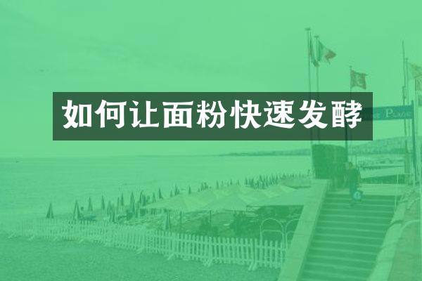 如何让面粉快速发酵