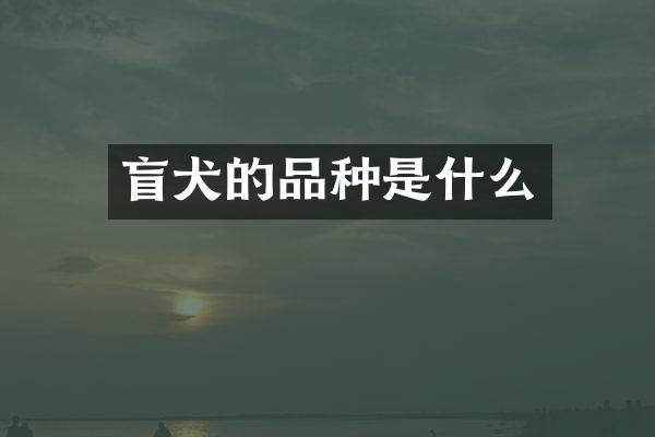 盲犬的品种是什么