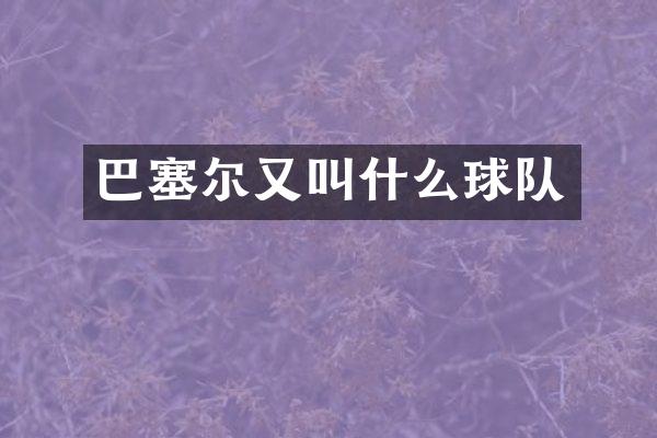 巴塞尔又叫什么球队