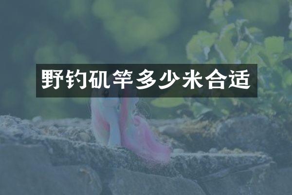 野钓矶竿多少米合适