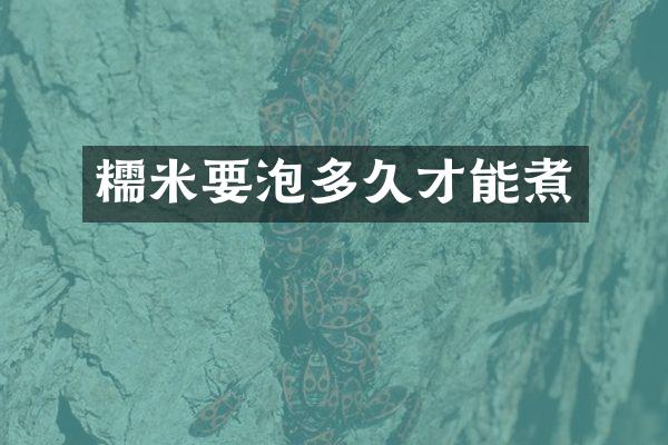 糯米要泡多久才能煮