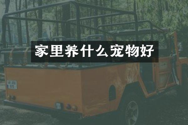 家里养什么宠物好