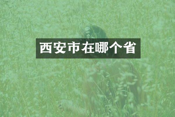 西安市在哪个省