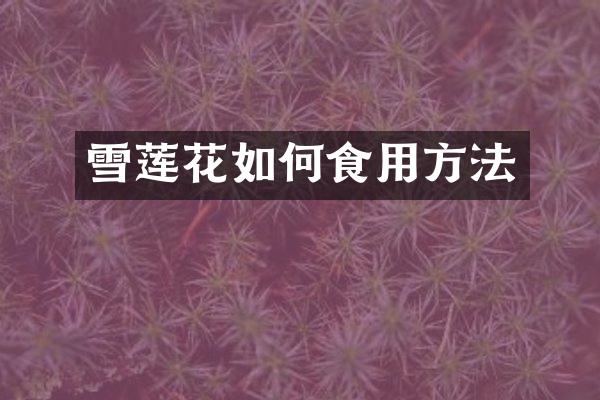 雪莲花如何食用方法