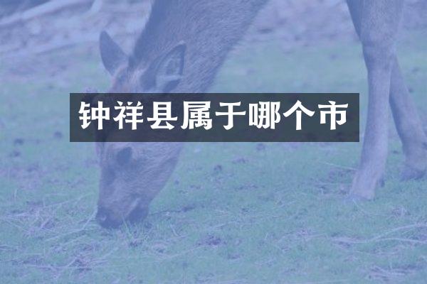 钟祥县属于哪个市