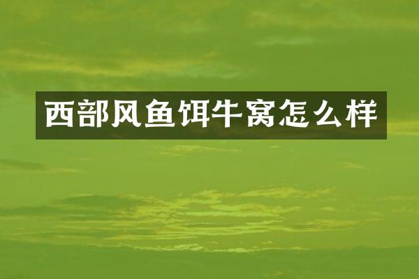 西部风鱼饵牛窝怎么样