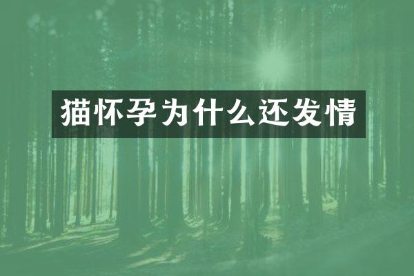 猫怀孕为什么还发情