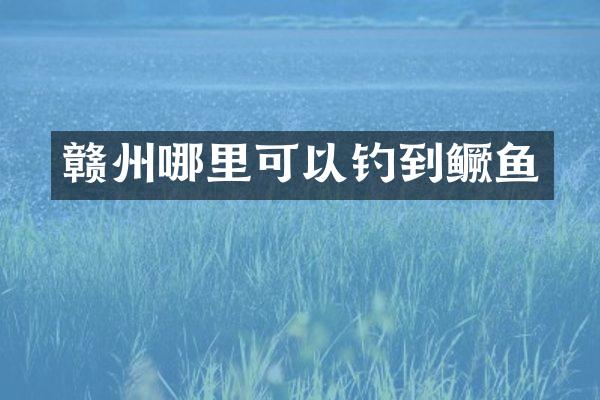 赣州哪里可以钓到鳜鱼
