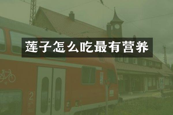 莲子怎么吃最有营养