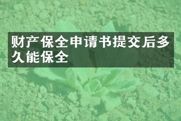 财产保全申请书提交后多久能保全