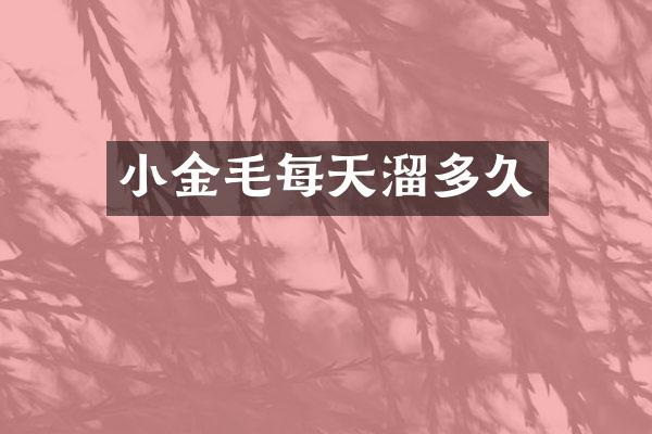 小金毛每天溜多久