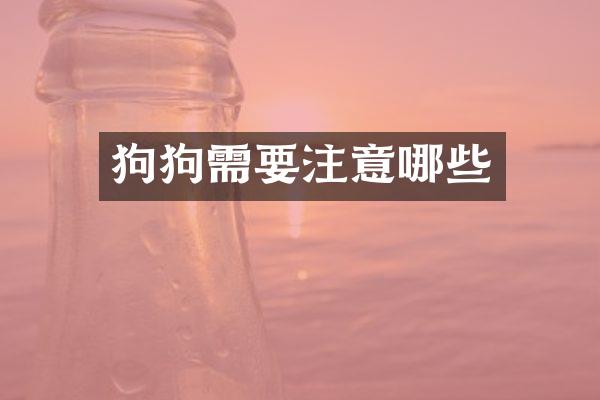 狗狗需要注意哪些