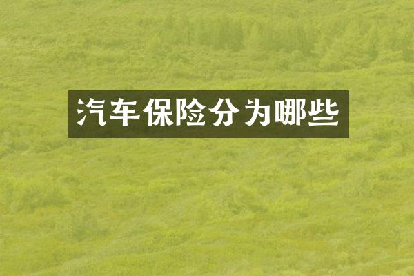 汽车保险分为哪些