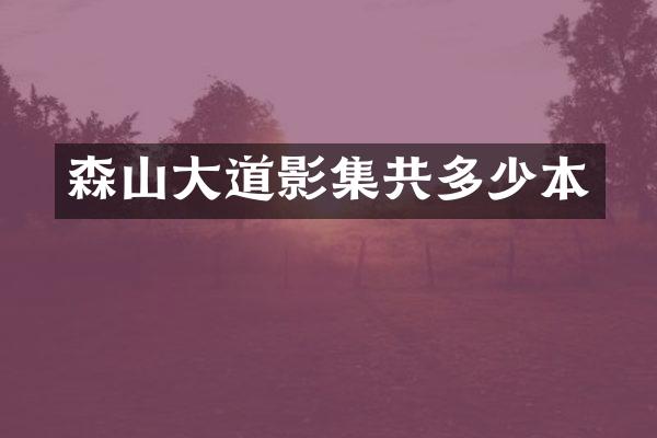森山大道影集共多少本