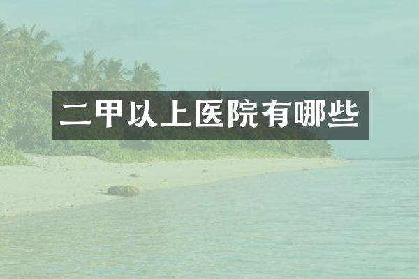 二甲以上医院有哪些