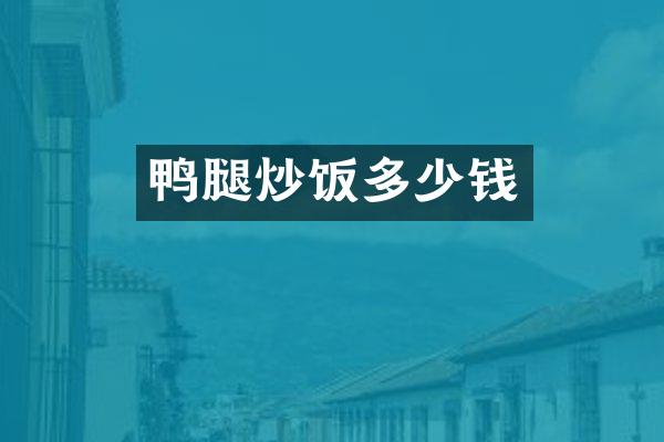 鸭腿炒饭多少钱