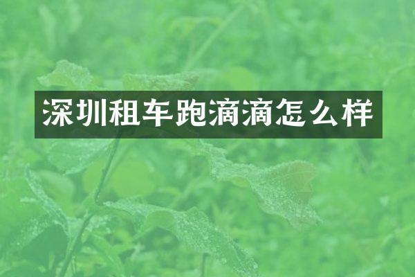 深圳租车跑滴滴怎么样