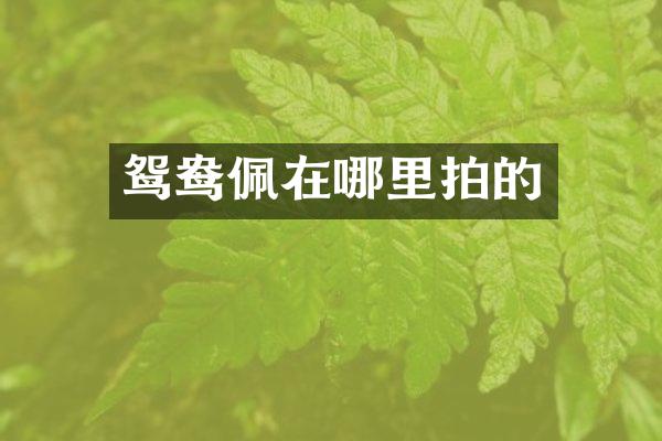 鸳鸯佩在哪里拍的