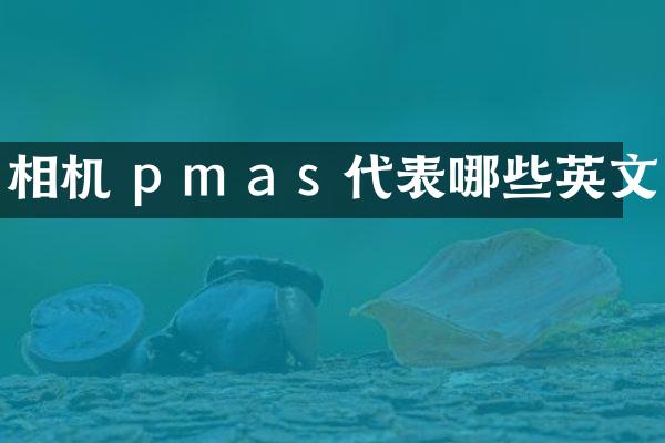 相机 p m a s 代表哪些英文