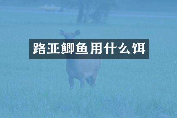路亚鲫鱼用什么饵