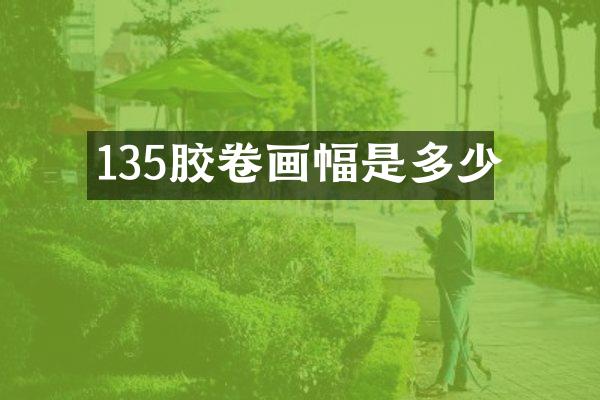 135胶卷画幅是多少