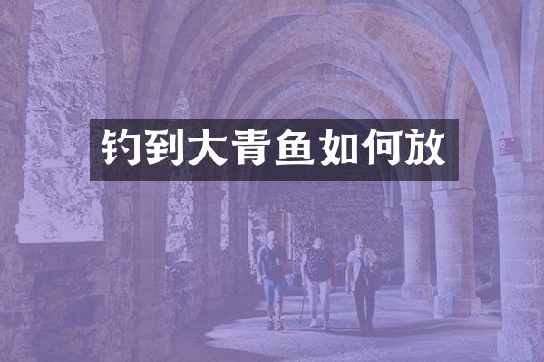 钓到大青鱼如何放