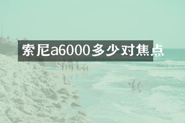 索尼a6000多少对焦点