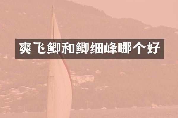 爽飞鲫和鲫细峰哪个好