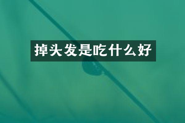 掉头发是吃什么好